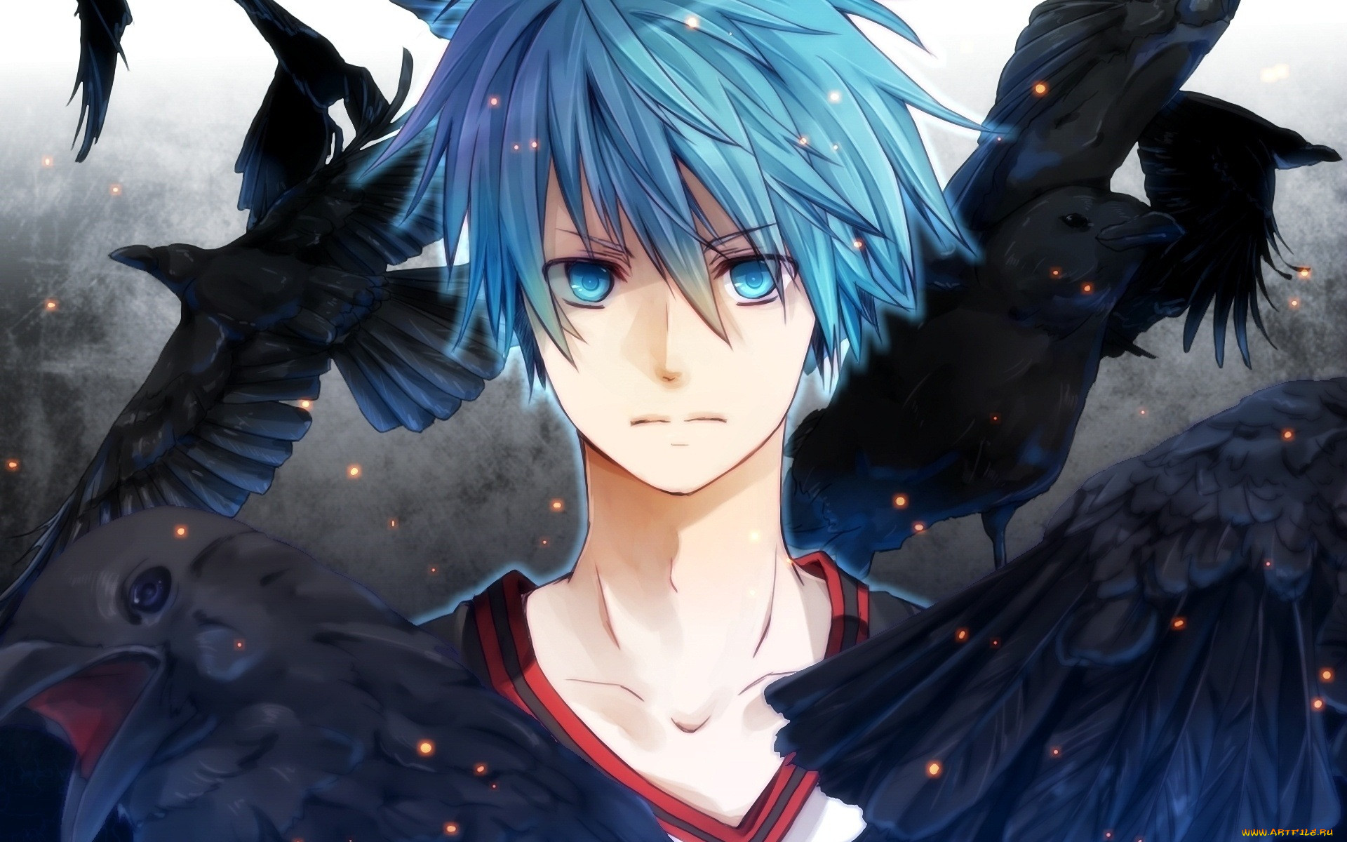 , kuroko no baske, , 